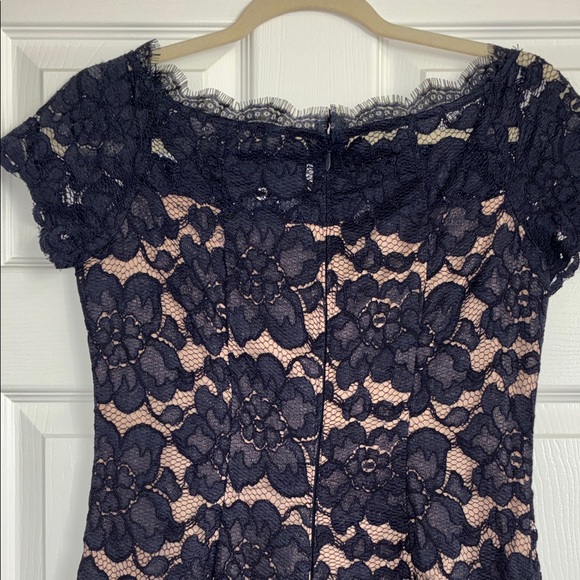 Adrianna Papell Dark Blue and Beige Lace Mini Dress - Picture 4 of 5